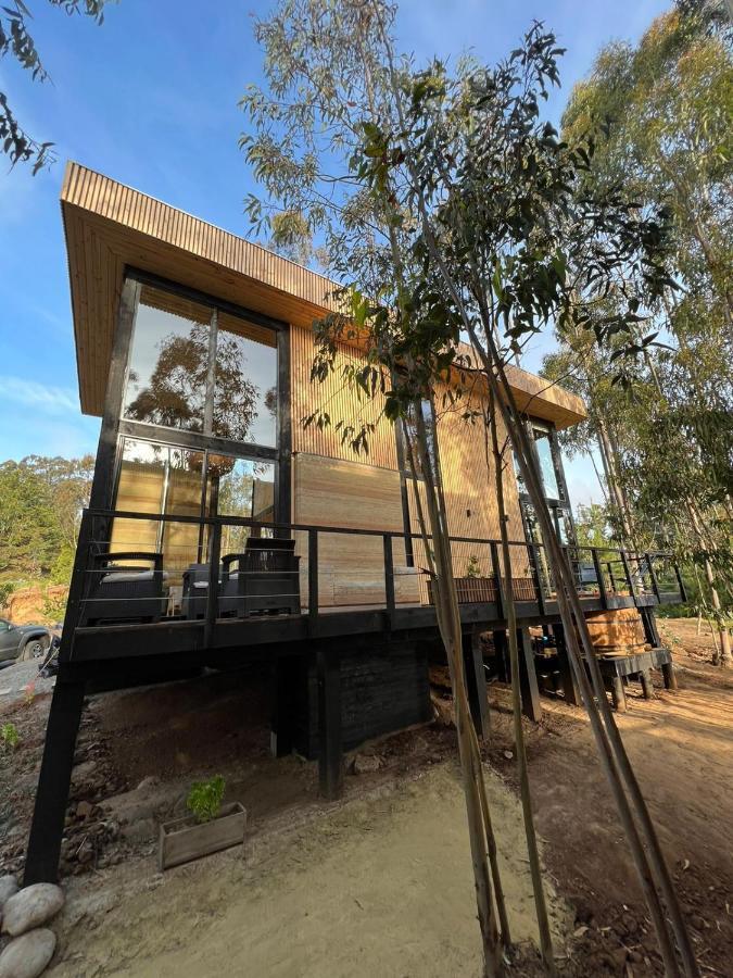 奇帕柯山林小屋和简易别墅 皮奇勒姆 外观 照片