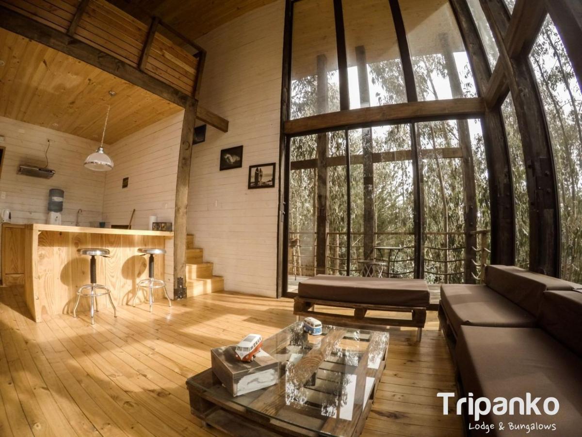 奇帕柯山林小屋和简易别墅 皮奇勒姆 外观 照片