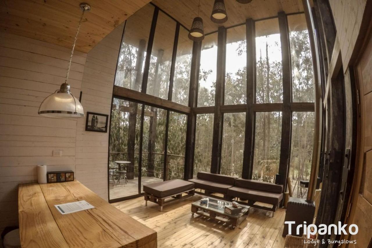 奇帕柯山林小屋和简易别墅 皮奇勒姆 外观 照片