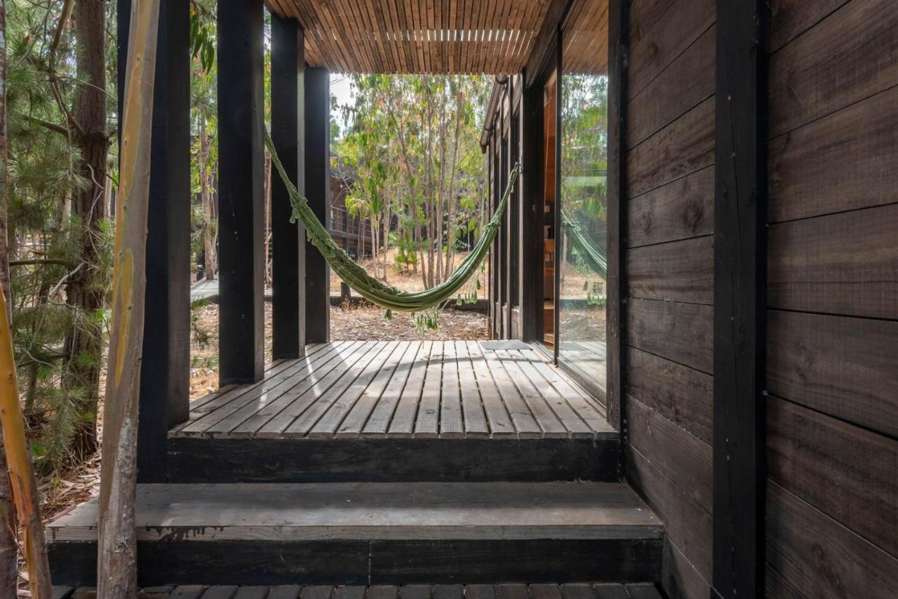 奇帕柯山林小屋和简易别墅 皮奇勒姆 外观 照片