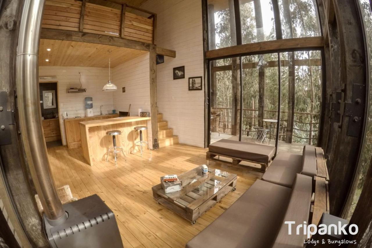 奇帕柯山林小屋和简易别墅 皮奇勒姆 外观 照片