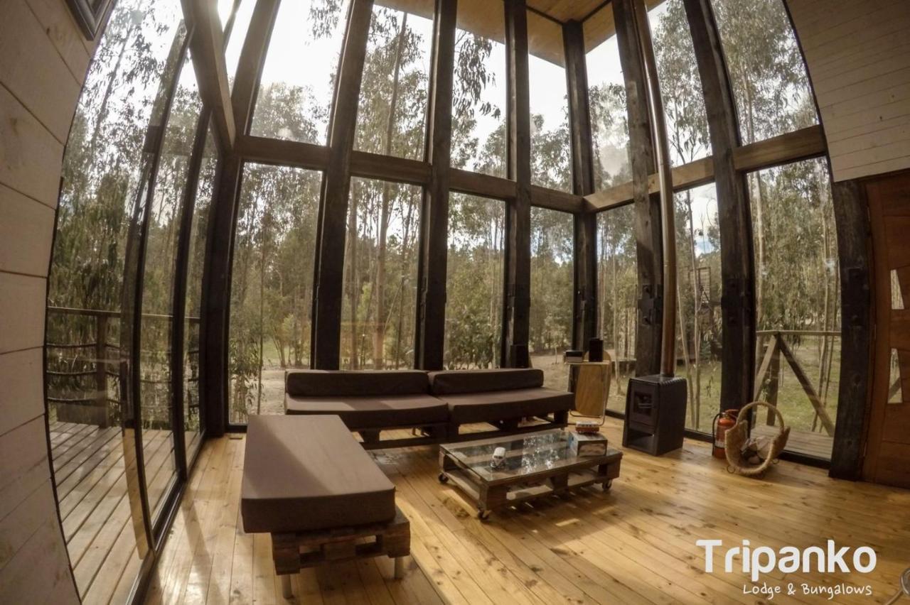 奇帕柯山林小屋和简易别墅 皮奇勒姆 外观 照片