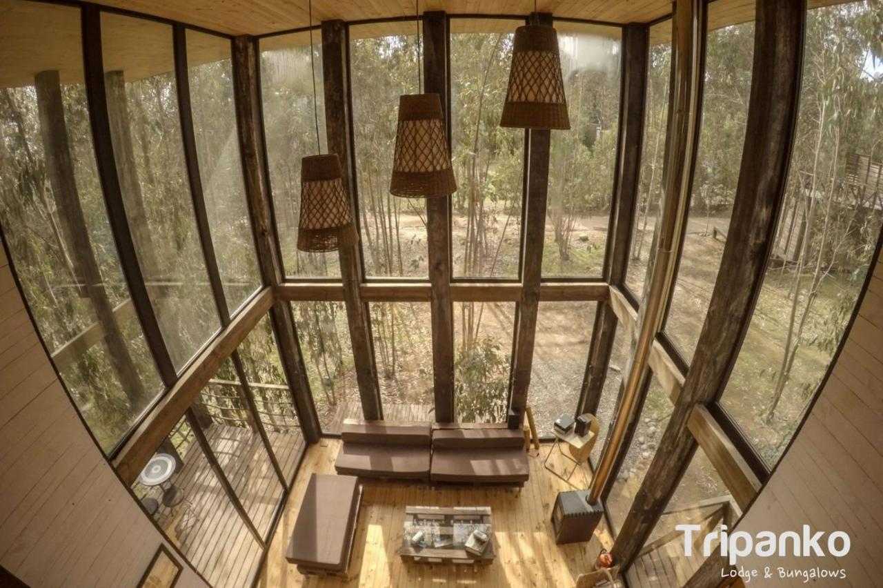 奇帕柯山林小屋和简易别墅 皮奇勒姆 外观 照片