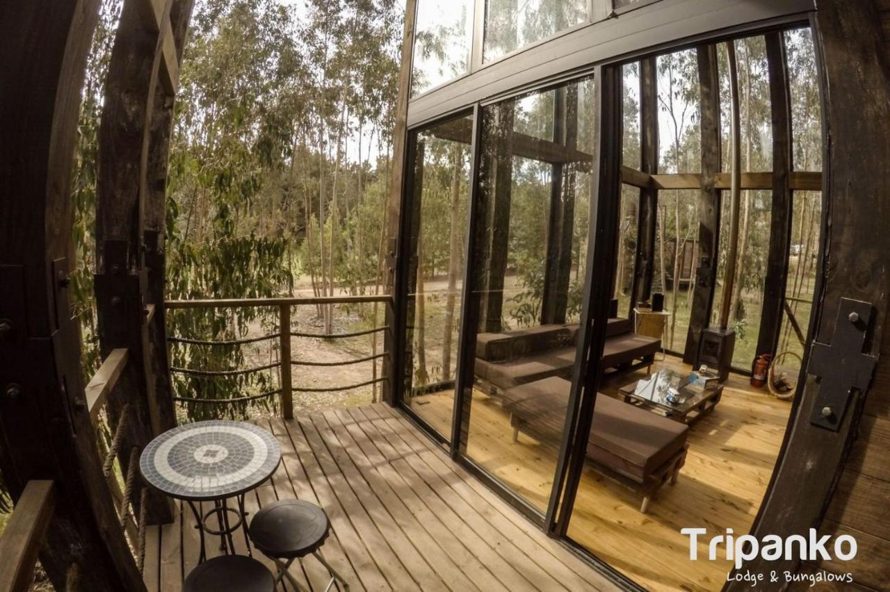 奇帕柯山林小屋和简易别墅 皮奇勒姆 外观 照片