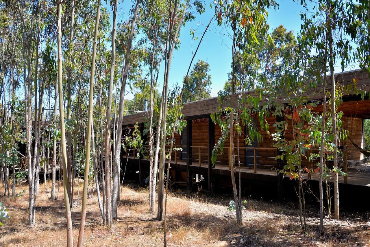 奇帕柯山林小屋和简易别墅 皮奇勒姆 外观 照片