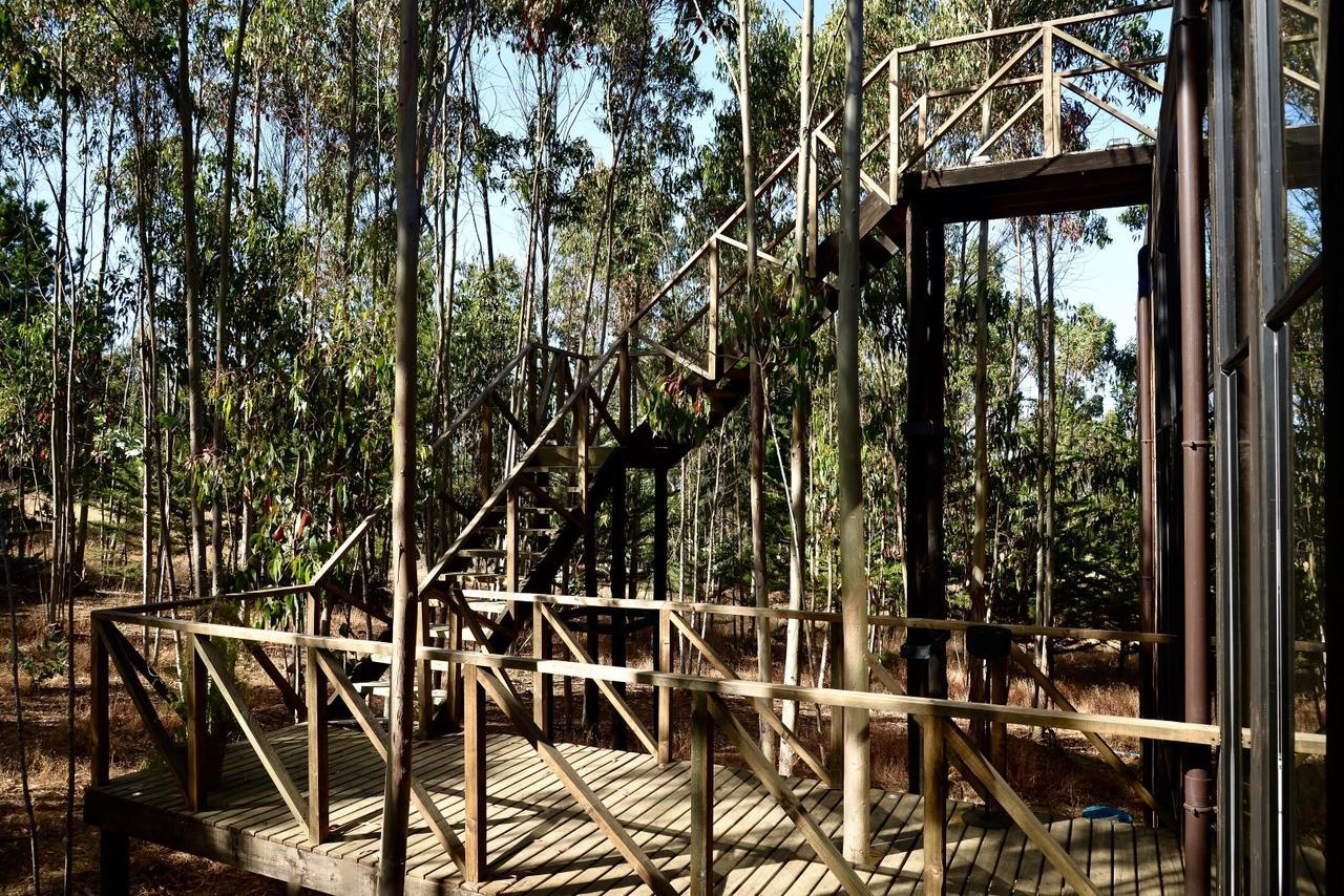 奇帕柯山林小屋和简易别墅 皮奇勒姆 外观 照片