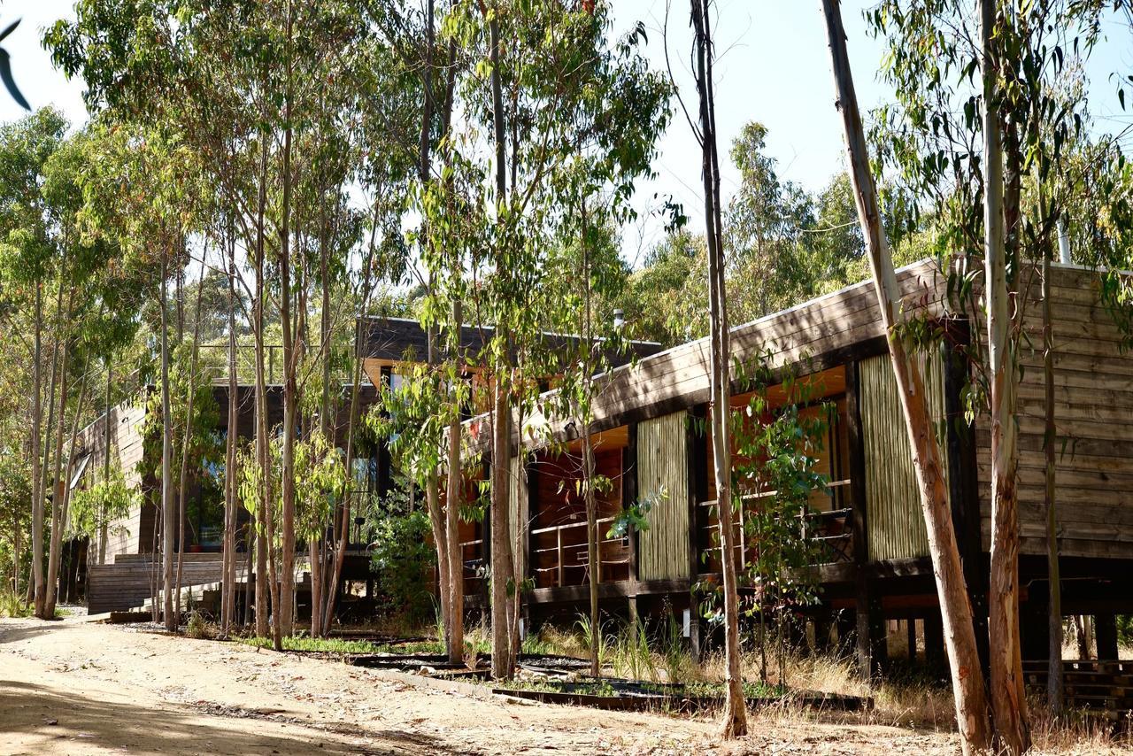 奇帕柯山林小屋和简易别墅 皮奇勒姆 外观 照片