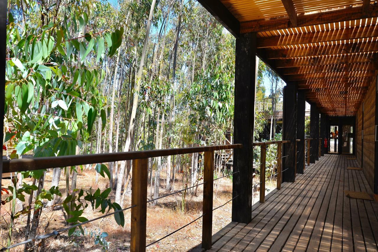 奇帕柯山林小屋和简易别墅 皮奇勒姆 外观 照片